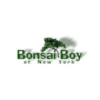 Bonsai-Boy-of-New-York-discount-code-2024