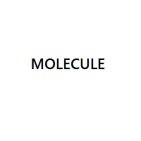 Molecule-code-2026
