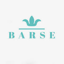 Barse-Discount-Code-2025