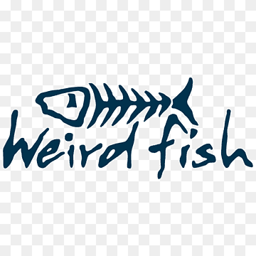 Weird Fish UK discount code - 2023